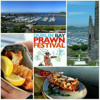 15977111_1138149396283751_5893792592949650851_n