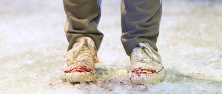 22008153_10155276772415642_7099434929423116451_n