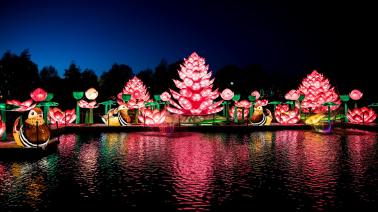 23509363_10155328009382933_6118457902637548474_o